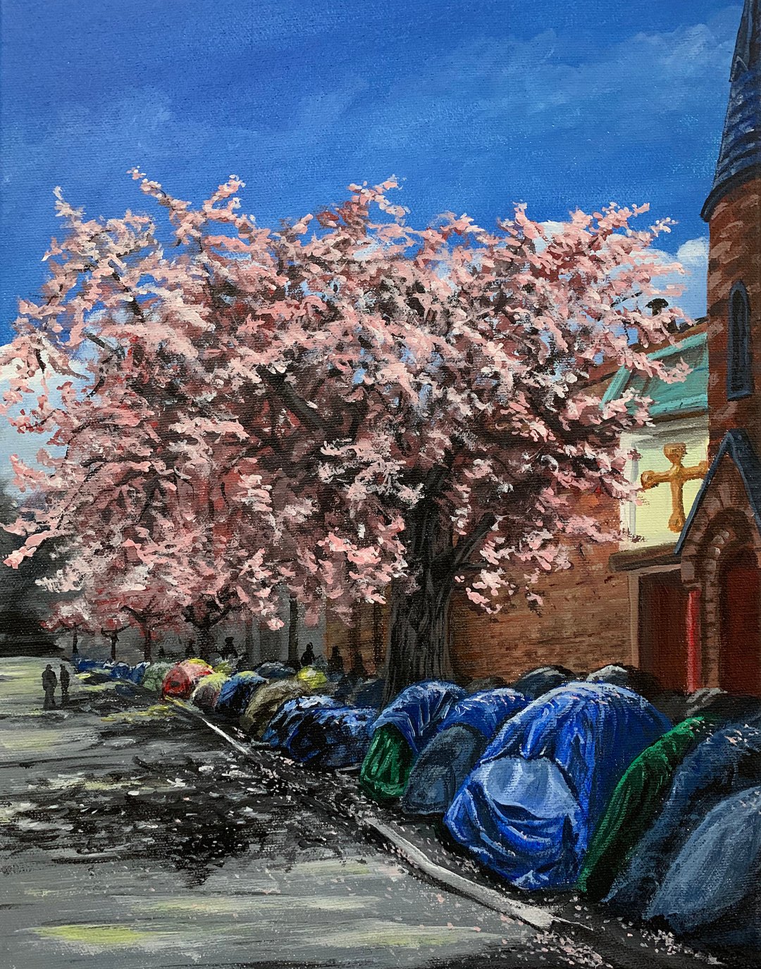 Pandora Avenue Cherry Blossoms